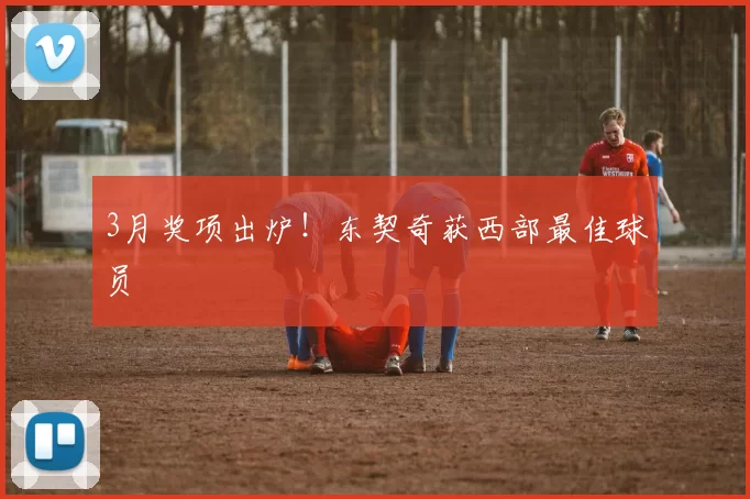 3月奖项出炉!东契奇获西部最佳球员