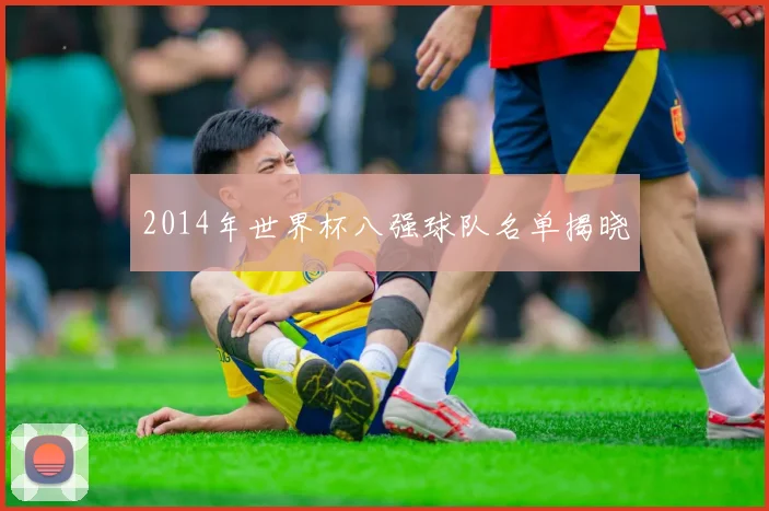 2014年世界杯八强球队名单揭晓