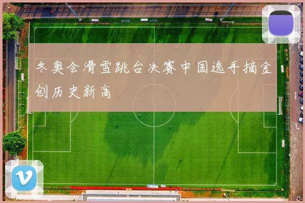 冬奥会滑雪跳台决赛中国选手摘金创历史新高