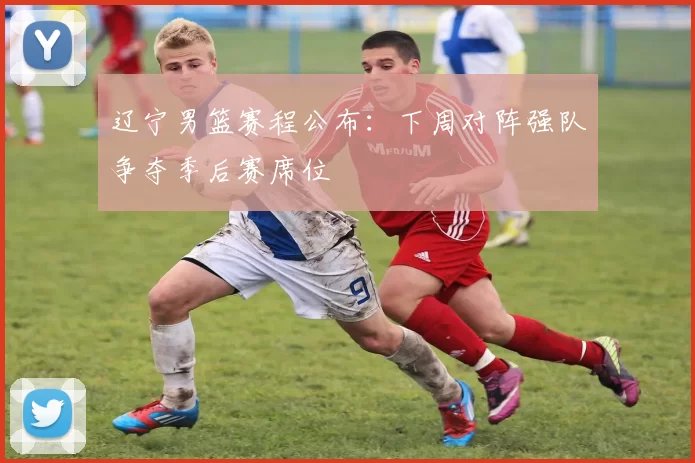 辽宁男篮赛程公布:下周对阵强队争夺季后赛席位