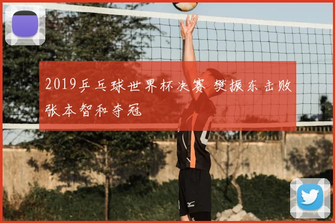 2019乒乓球世界杯决赛 樊振东击败张本智和夺冠