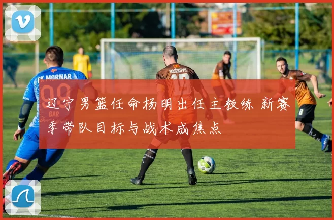 辽宁男篮任命杨明出任主教练 新赛季带队目标与战术成焦点