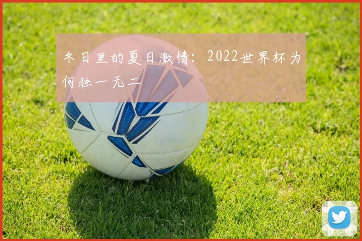 冬日里的夏日激情:2022世界杯为何独一无二