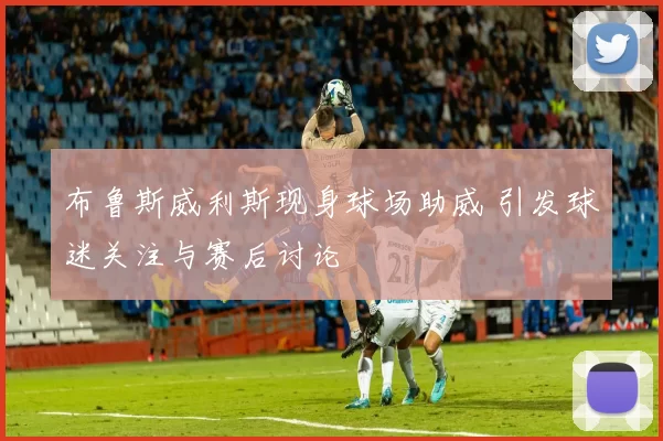 布鲁斯威利斯现身球场助威 引发球迷关注与赛后讨论