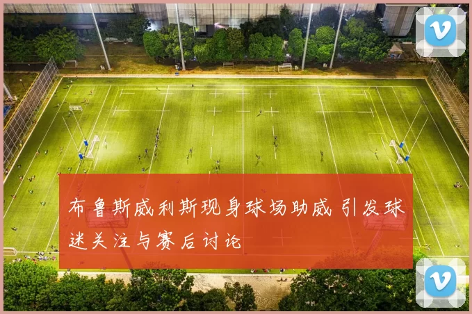 布鲁斯威利斯现身球场助威 引发球迷关注与赛后讨论