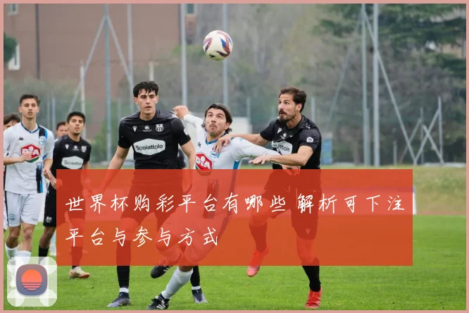 世界杯购彩平台有哪些 解析可下注平台与参与方式