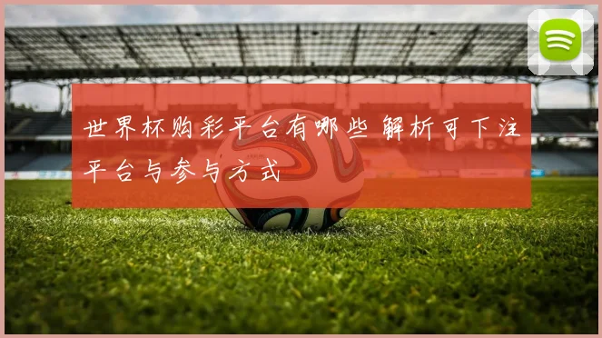 世界杯购彩平台有哪些 解析可下注平台与参与方式