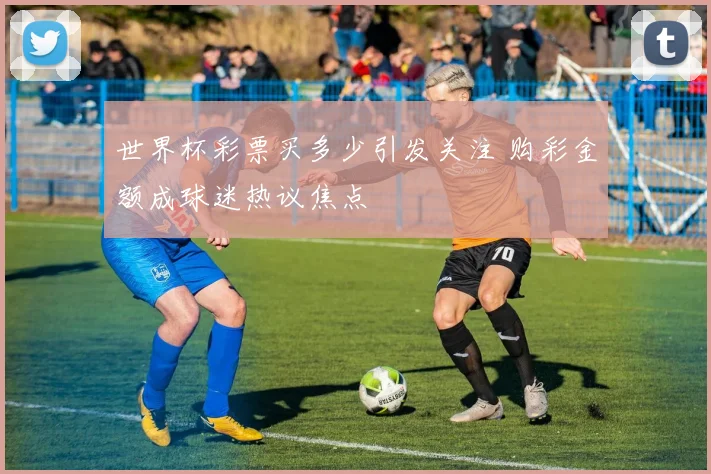 世界杯彩票买多少引发关注 购彩金额成球迷热议焦点